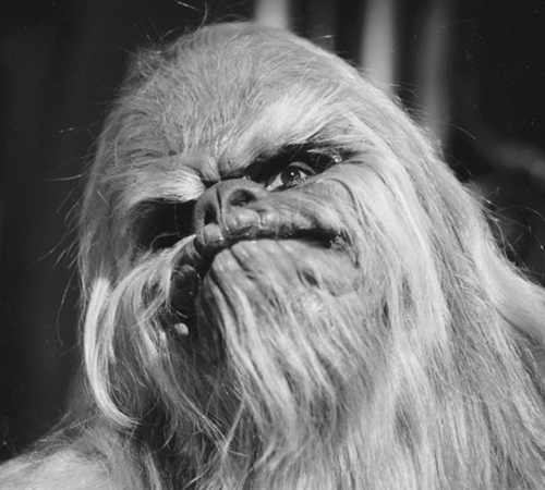 The Star Wars Holiday Special 1978 Wookie Itchy
