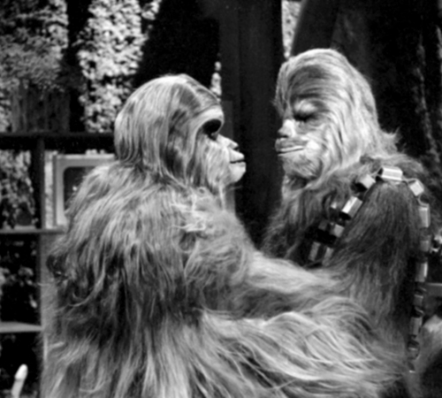 The Star Wars Holiday Special 1978 Malla with Chewbacca