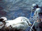 2-1B examines a dead Tauntaun. From the 'Behind The Magic' CD ROM.